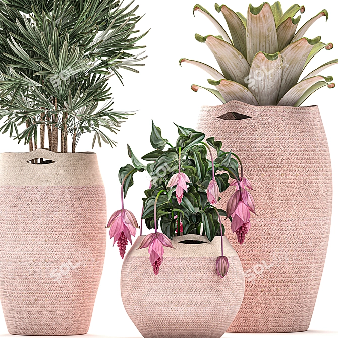 Exotic Plant Collection in Pink Baskets 3D model image 2