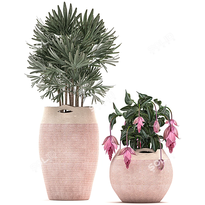 Exotic Plant Collection in Pink Baskets 3D model image 3