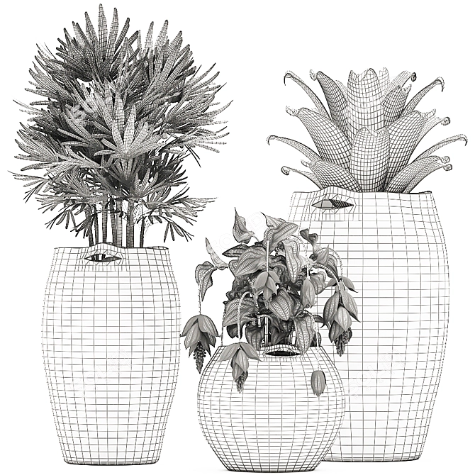 Exotic Plant Collection in Pink Baskets 3D model image 5