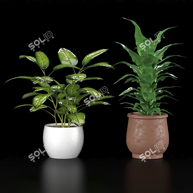 Indoor Plant Collection Set 3D model image 1