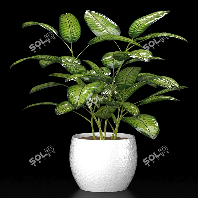 Indoor Plant Collection Set 3D model image 2