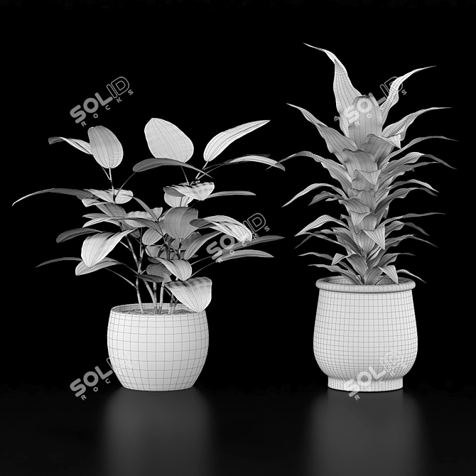 Indoor Plant Collection Set 3D model image 4