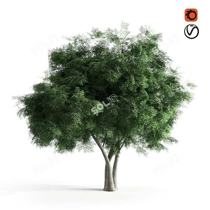 Majestic Elm Tree: A Botanical Beauty 3D model image 1