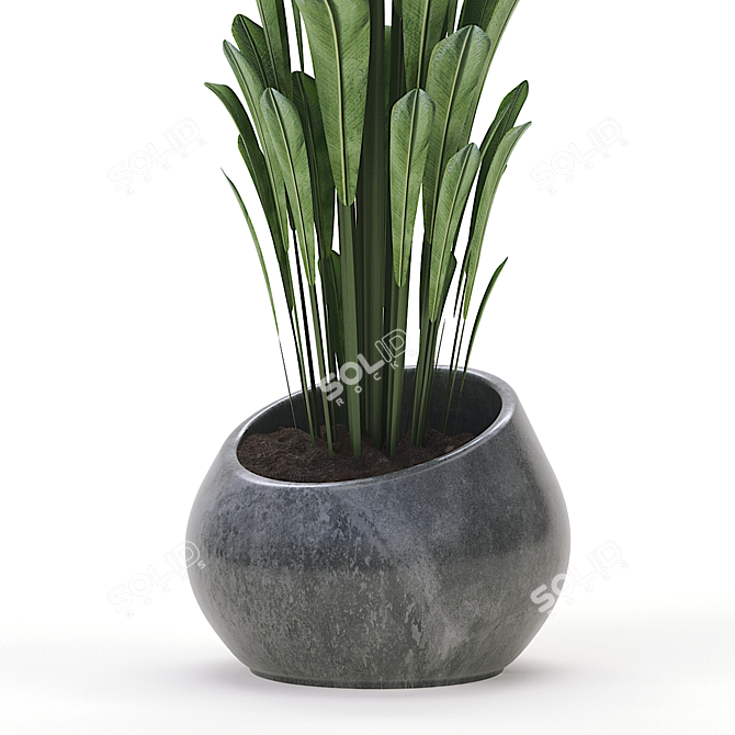 Green Oasis: Indoor Plant Collection 3D model image 3