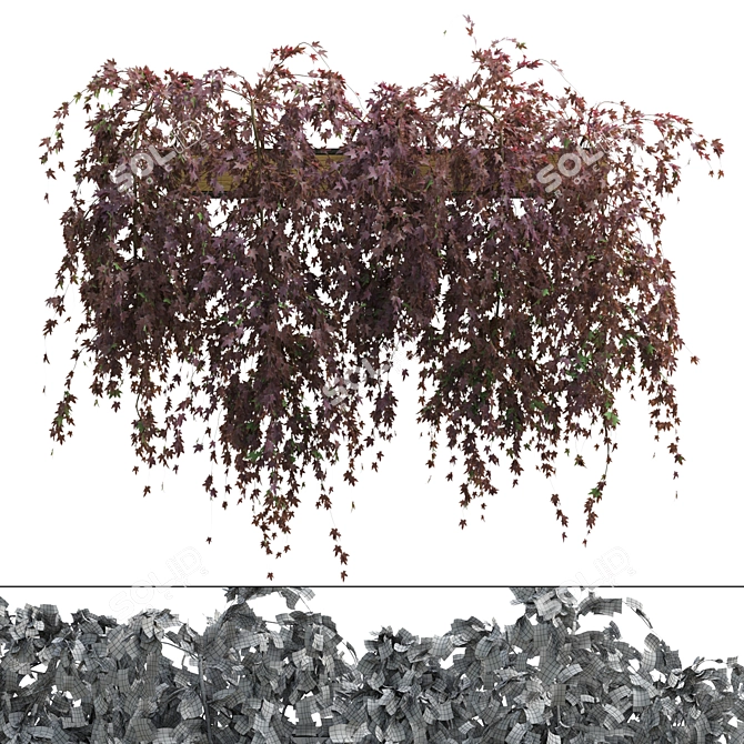 2-Sided Hanging Plant with Dual-Color Leaves 3D model image 2