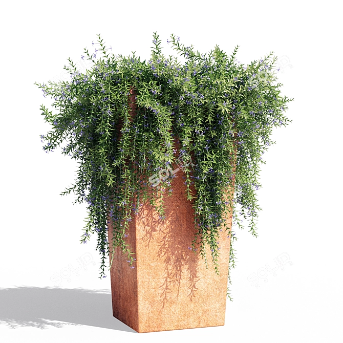 1.1m Rosemary Pot 3D model image 1