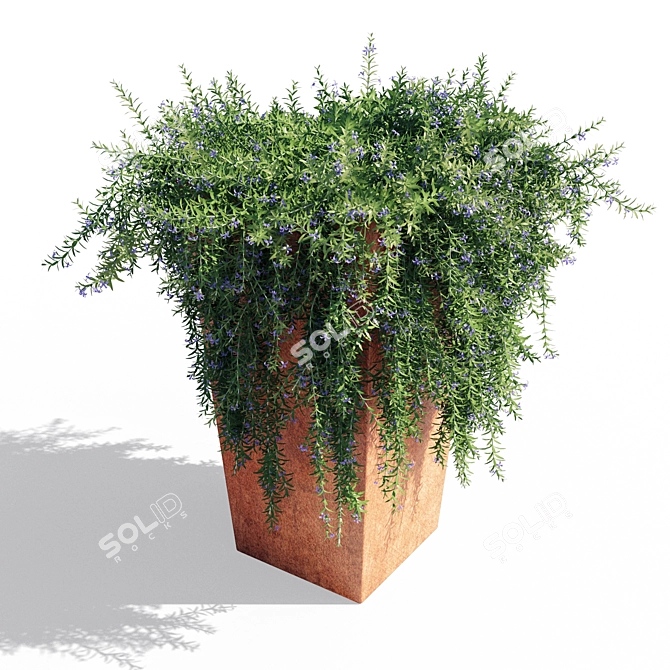 1.1m Rosemary Pot 3D model image 2