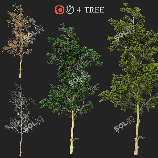 Versatile Four Seasons Trees 3D model image 1