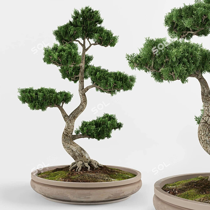 Artistic Bonsai: Exquisite Decorative Tree 3D model image 1