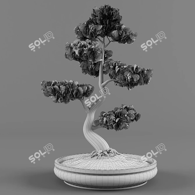 Artistic Bonsai: Exquisite Decorative Tree 3D model image 4