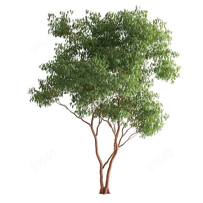 3dsmax 2014 + obj: High-Quality 3D Modeling 3D model image 1