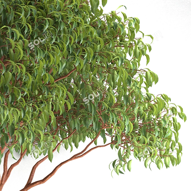 3dsmax 2014 + obj: High-Quality 3D Modeling 3D model image 2