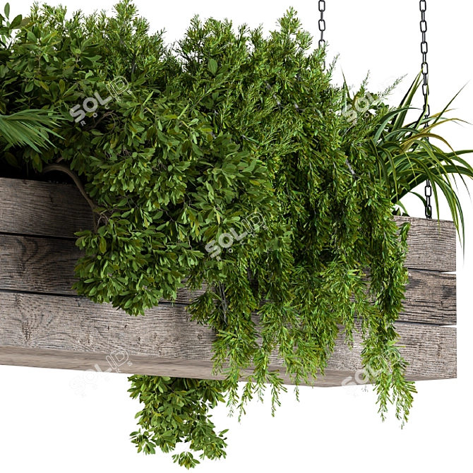 Wooden Box Hanging Plants 3D model image 2