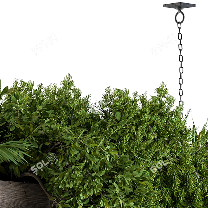 Wooden Box Hanging Plants 3D model image 4