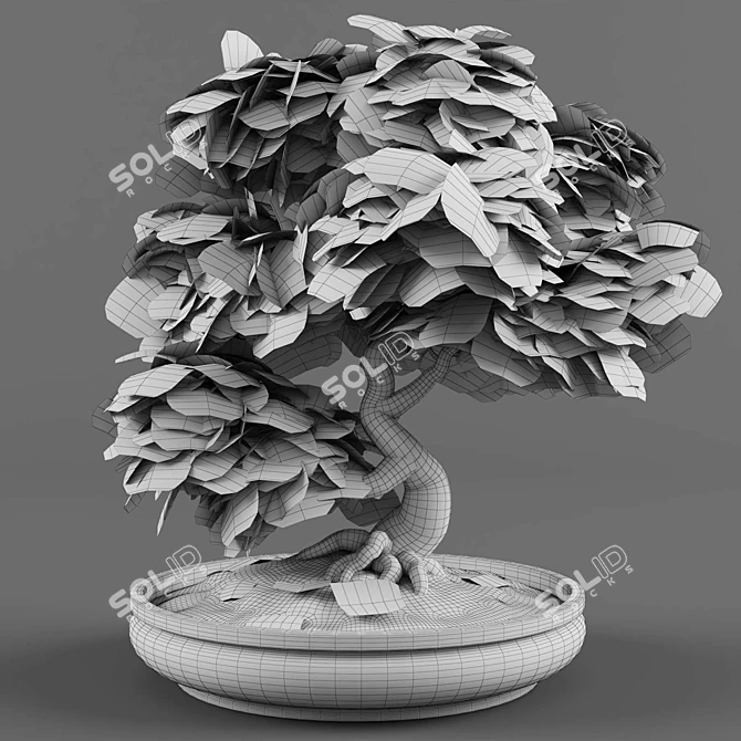 Miniature Japanese Maple Bonsai Tree 3D model image 4