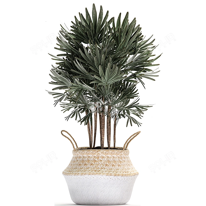 Exotic Tropical Plant Collection 3D model image 2