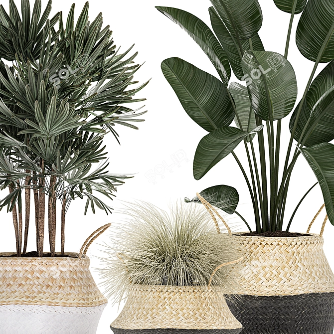 Exotic Indoor Plant Collection in Rattan Basket 3D model image 2