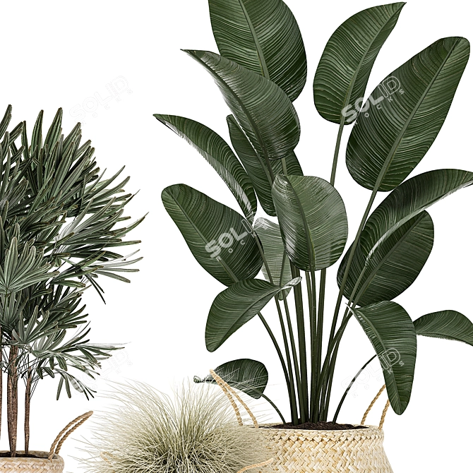 Exotic Indoor Plant Collection in Rattan Basket 3D model image 3