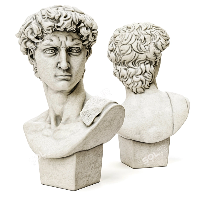 Elegant David Bust - Michelangelo 3D model image 2