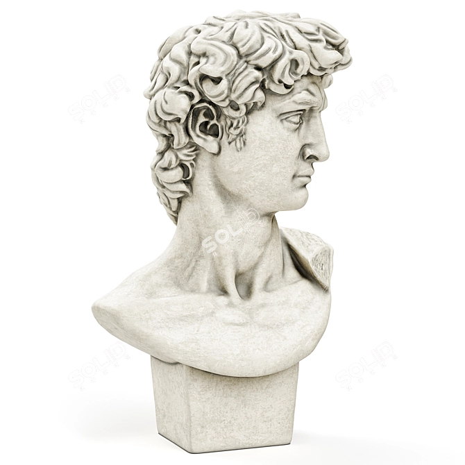Elegant David Bust - Michelangelo 3D model image 3