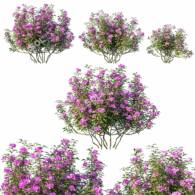 Rhododendron Ponticum Tree - Lifelike Floral Décor 3D model image 1