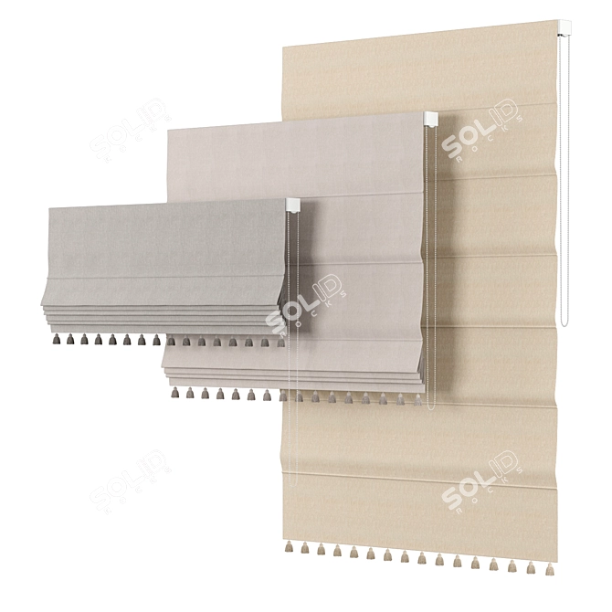 Harrow Roman Curtains with Tassel Edge 3D model image 2