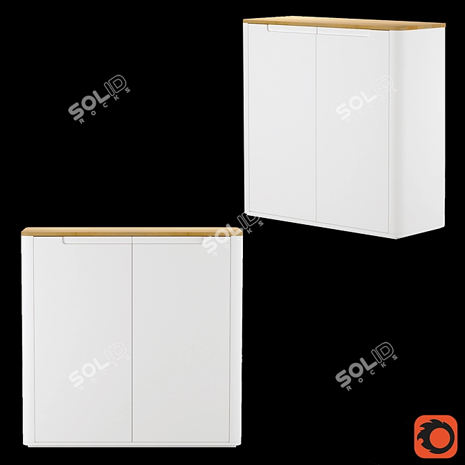 Modern Shoe Cabinet with 2 Doors - Stolico 3D model image 1