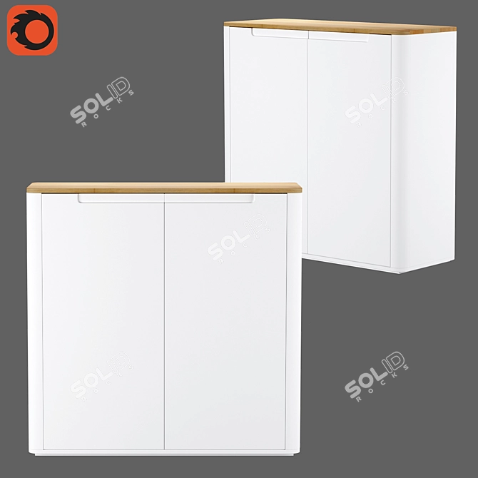 Modern Shoe Cabinet with 2 Doors - Stolico 3D model image 3