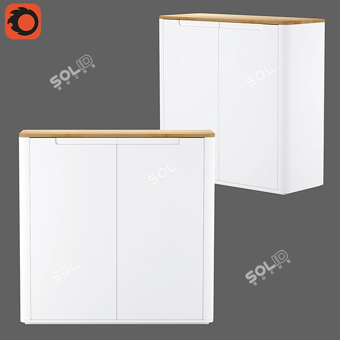 Modern Shoe Cabinet with 2 Doors - Stolico 3D model image 4
