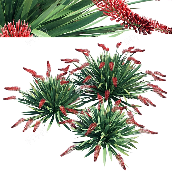 Exquisite Poor Knights Lilly Sculpture 3D model image 5