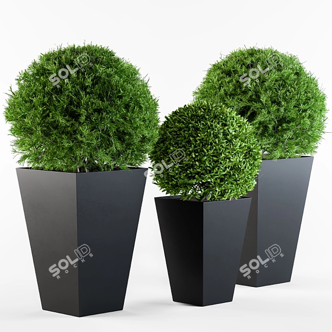 Round Outdoor Plants: Enhance Your Outdoor Space 3D model image 1