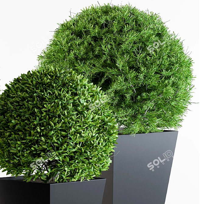 Round Outdoor Plants: Enhance Your Outdoor Space 3D model image 3