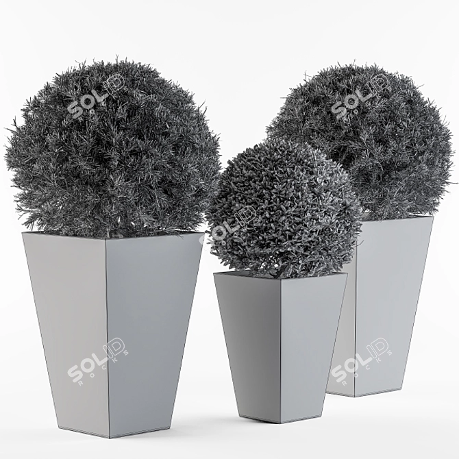 Round Outdoor Plants: Enhance Your Outdoor Space 3D model image 4