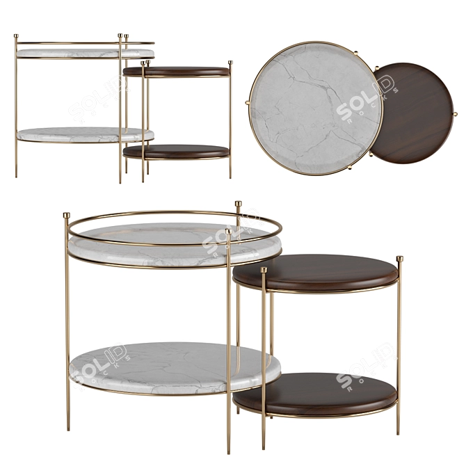Elegant Erni Table: Modern Luxury in Walnut Wood & Brass 3D model image 1