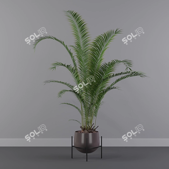 Tropical Oasis: Areca Palm 01 3D model image 1