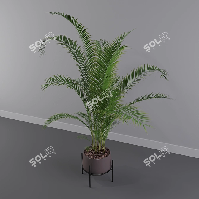 Tropical Oasis: Areca Palm 01 3D model image 3