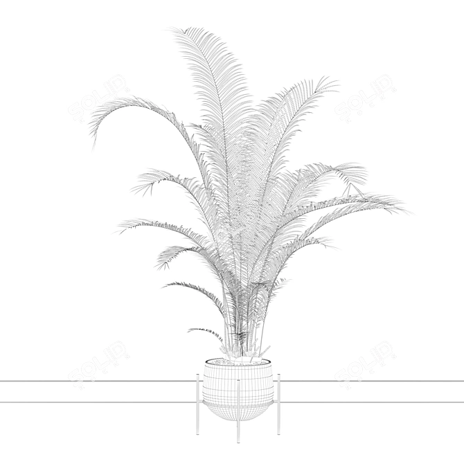 Tropical Oasis: Areca Palm 01 3D model image 4