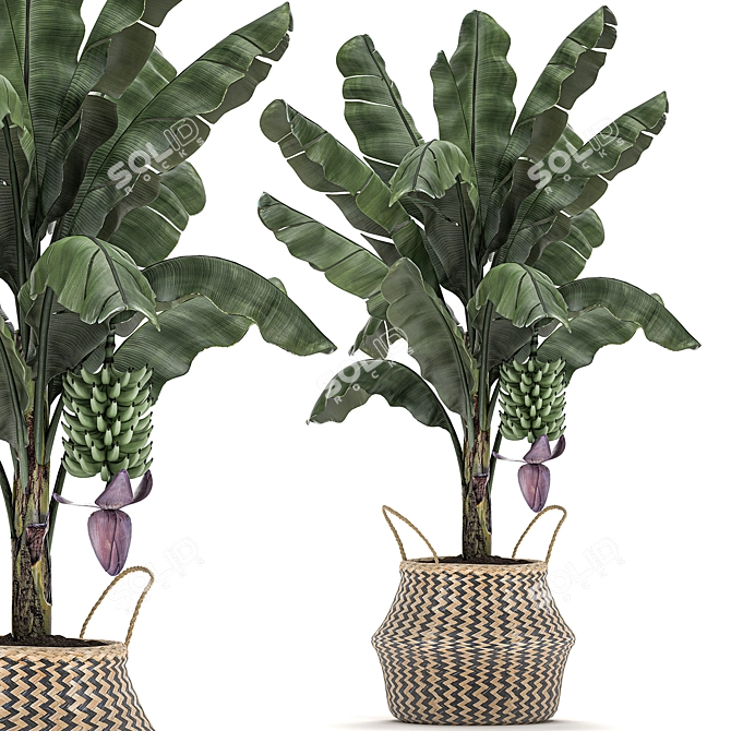 Tropical Plant Basket: Exotic Decor Collection 3D model image 1