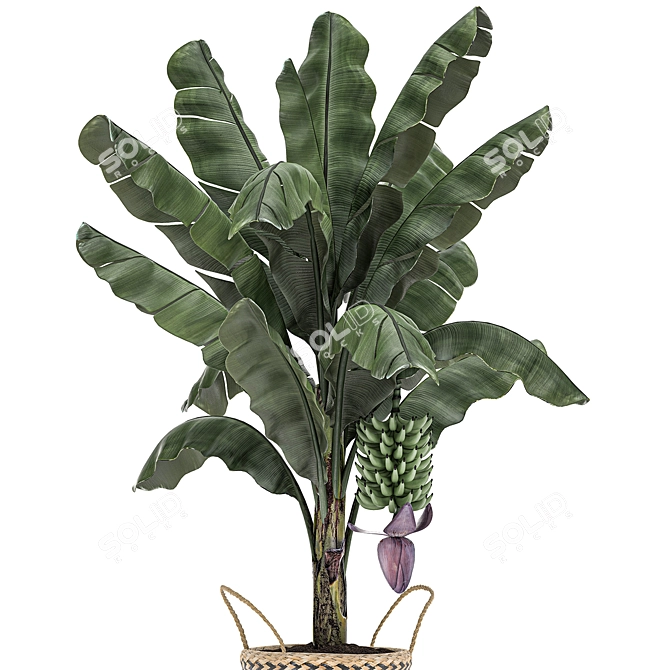 Tropical Plant Basket: Exotic Decor Collection 3D model image 2