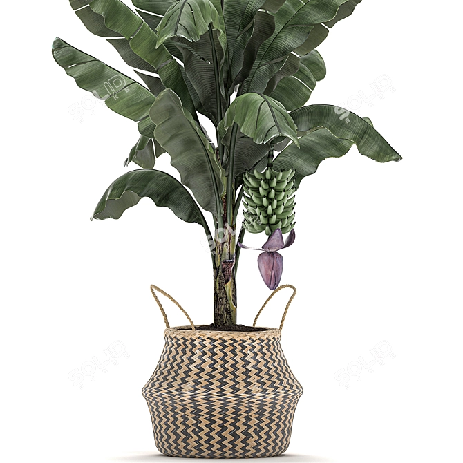Tropical Plant Basket: Exotic Decor Collection 3D model image 3