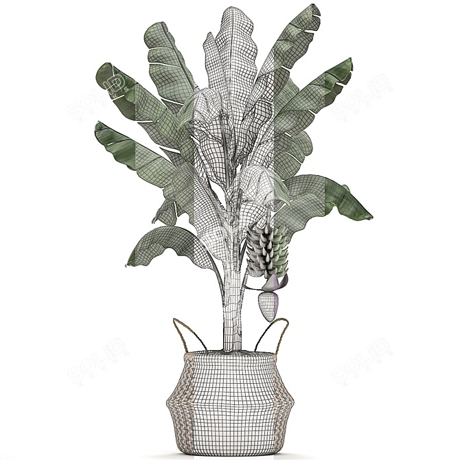 Tropical Plant Basket: Exotic Decor Collection 3D model image 4