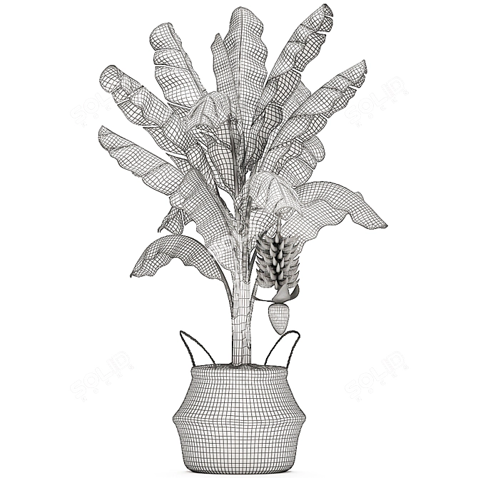 Tropical Plant Basket: Exotic Decor Collection 3D model image 5