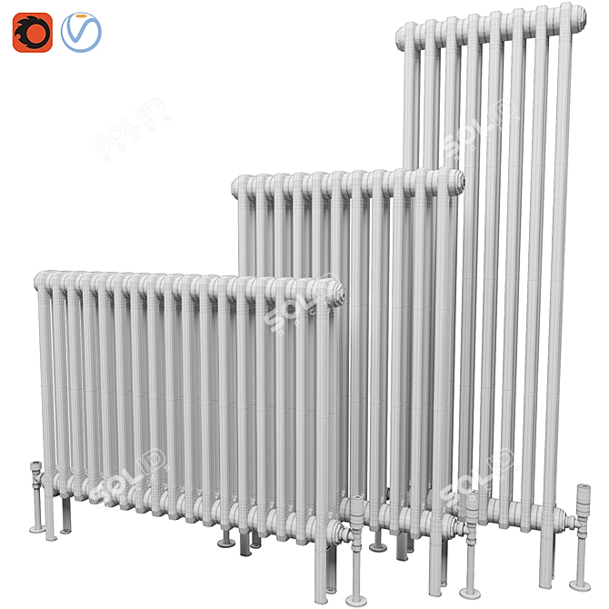 Butler & Rose 2 Column Radiator 3D model image 3