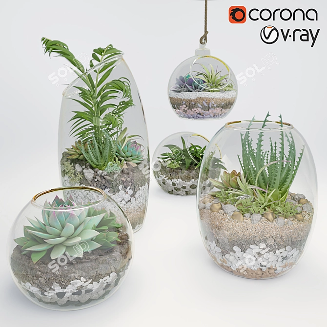 Botanical Bliss: 5 Glass Ball Terrarium Set 3D model image 1