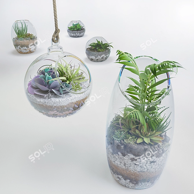 Botanical Bliss: 5 Glass Ball Terrarium Set 3D model image 4