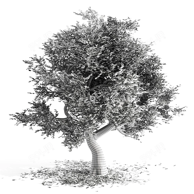 Amur Cork Tree: Natural Beauty 3D model image 3