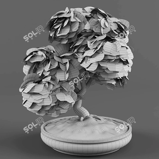 Zen Garden Bonsai Maple Tree 3D model image 4