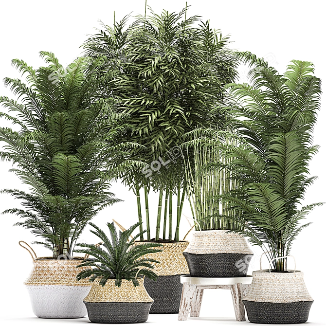 Tropical Plant Collection in Rattan Basket 3D model image 1