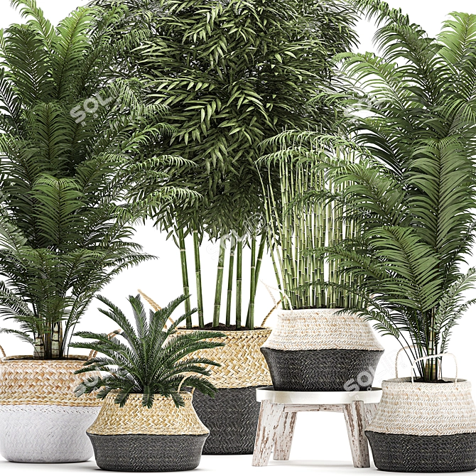 Tropical Plant Collection in Rattan Basket 3D model image 2