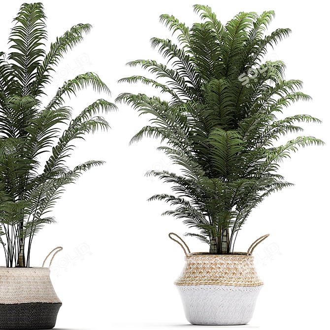 Tropical Plant Collection in Rattan Basket 3D model image 3